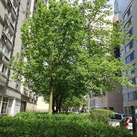 24h Check In, Aircon- Free Public Pool-fitness-sauna Apartman